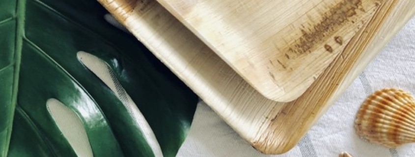 Piatti in foglia di palma: biodegradabili, compostabili e di design